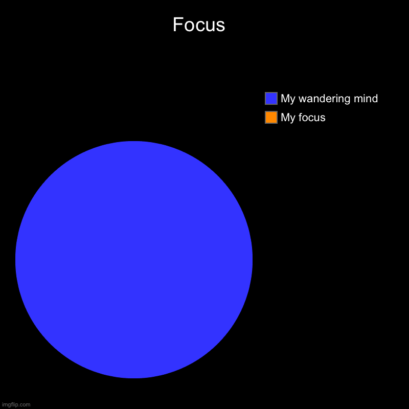 Focus  | My focus , My wandering mind | image tagged in charts,pie charts | made w/ Imgflip chart maker