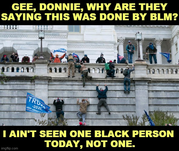GEE, DONNIE, WHY ARE THEY SAYING THIS WAS DONE BY BLM? I AIN'T SEEN ONE BLACK PERSON 
TODAY, NOT ONE. | image tagged in trump,fans,stupid,morons | made w/ Imgflip meme maker