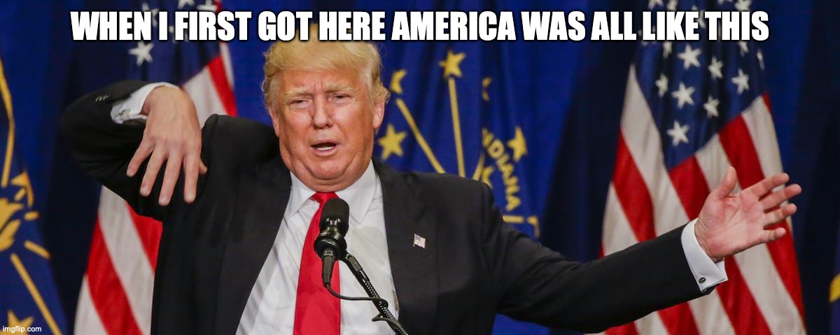 Trump limp | WHEN I FIRST GOT HERE AMERICA WAS ALL LIKE THIS | image tagged in trump limp | made w/ Imgflip meme maker