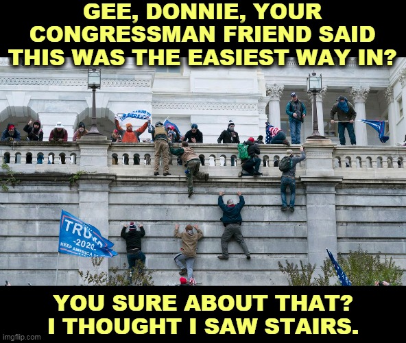 GEE, DONNIE, YOUR CONGRESSMAN FRIEND SAID THIS WAS THE EASIEST WAY IN? YOU SURE ABOUT THAT? I THOUGHT I SAW STAIRS. | image tagged in trump,fans,brain,disease | made w/ Imgflip meme maker