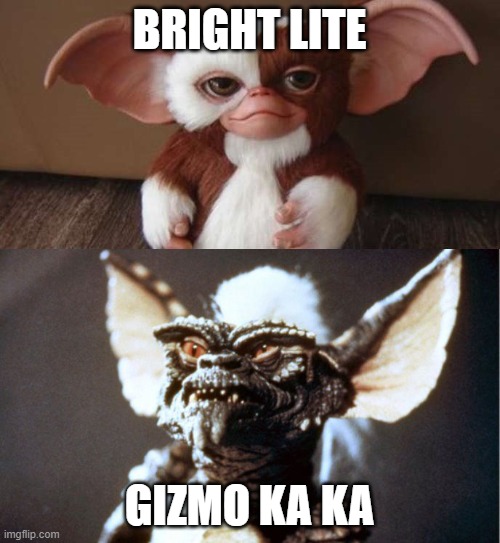 When You Think You're Getting Gizmo But There Stripe In Disguise | BRIGHT LITE GIZMO KA KA | image tagged in when you think you're getting gizmo but there stripe in disguise | made w/ Imgflip meme maker