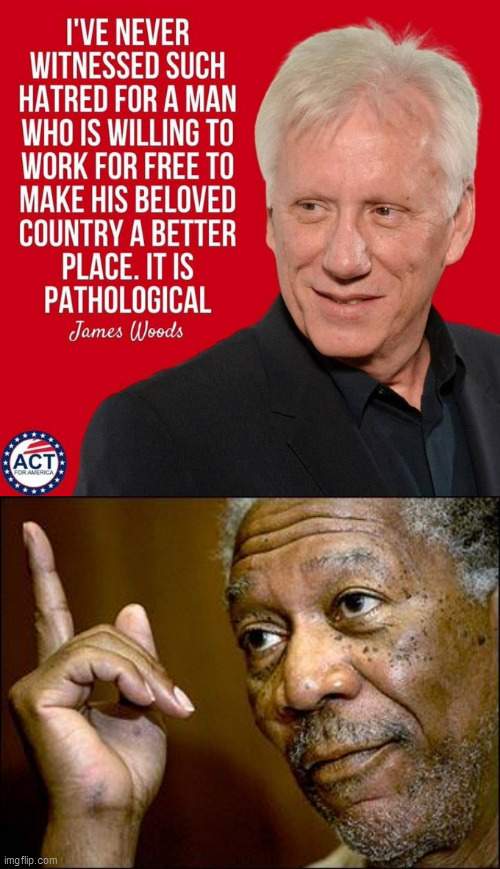 image tagged in truth,this morgan freeman | made w/ Imgflip meme maker