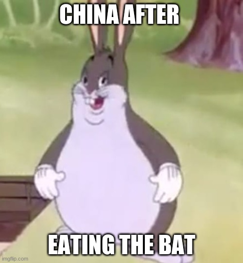 Big Chungus | CHINA AFTER; EATING THE BAT | image tagged in big chungus | made w/ Imgflip meme maker