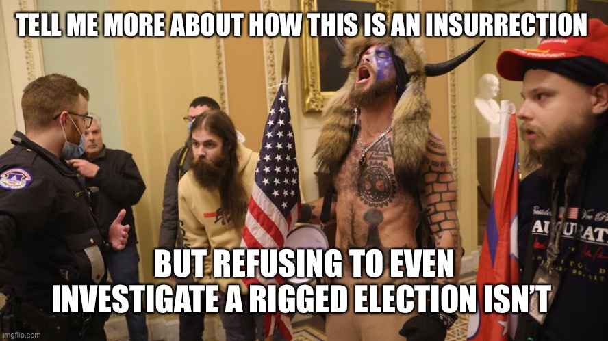 Under the Laws of the United States of America No One Ever had a Right to Go to Court to Force a Criminal Investigation | TELL ME MORE ABOUT HOW THIS IS AN INSURRECTION; BUT REFUSING TO EVEN INVESTIGATE A RIGGED ELECTION ISN’T | image tagged in give me more | made w/ Imgflip meme maker