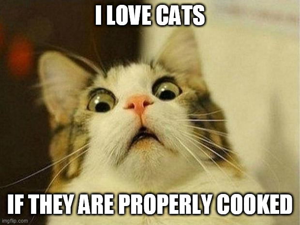 Scared Cat Meme | I LOVE CATS; IF THEY ARE PROPERLY COOKED | image tagged in memes,scared cat | made w/ Imgflip meme maker