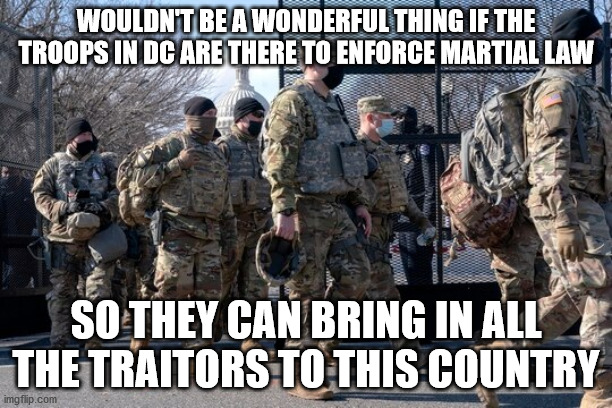 military | WOULDN'T BE A WONDERFUL THING IF THE TROOPS IN DC ARE THERE TO ENFORCE MARTIAL LAW; SO THEY CAN BRING IN ALL THE TRAITORS TO THIS COUNTRY | image tagged in martial law | made w/ Imgflip meme maker
