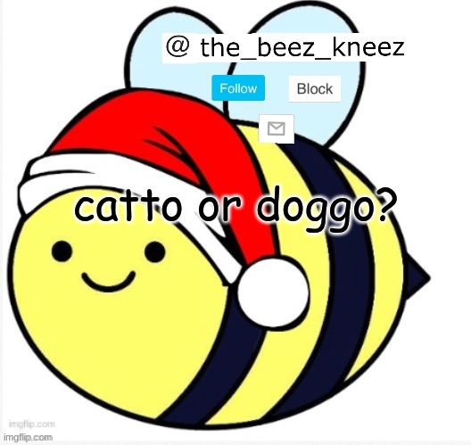 beez announcement | catto or doggo? | image tagged in beez announcement | made w/ Imgflip meme maker
