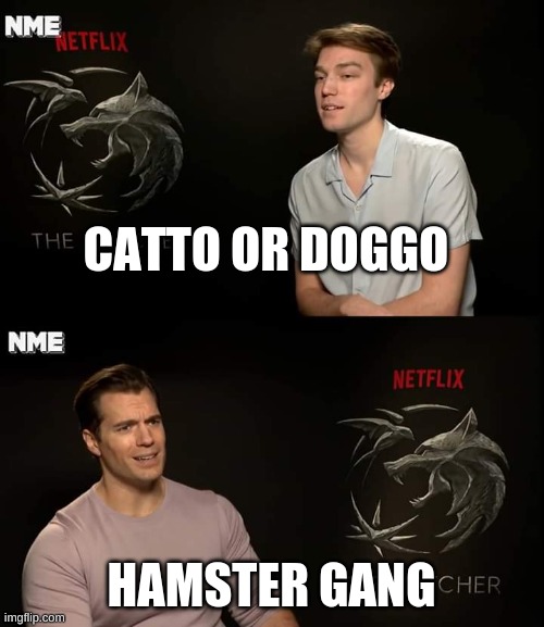 Henry Cavill | CATTO OR DOGGO HAMSTER GANG | image tagged in henry cavill | made w/ Imgflip meme maker