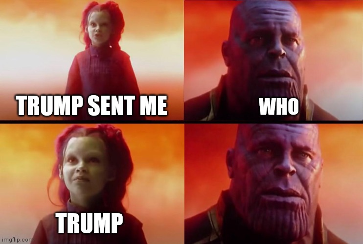 thanos what did it cost | TRUMP SENT ME; WHO; TRUMP | image tagged in thanos what did it cost | made w/ Imgflip meme maker