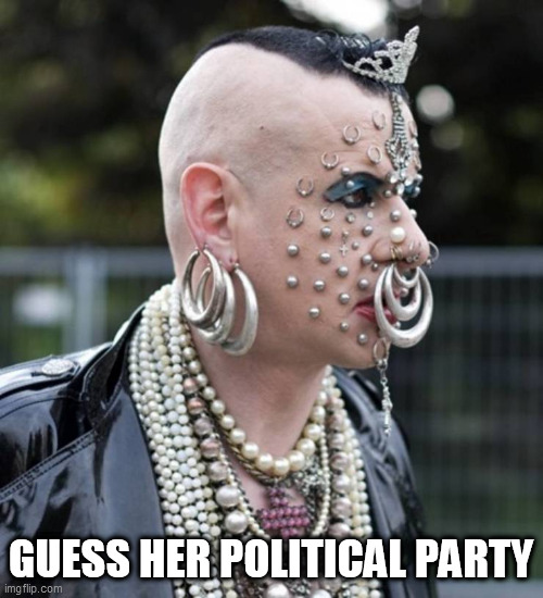 GUESS | GUESS HER POLITICAL PARTY | image tagged in guess | made w/ Imgflip meme maker