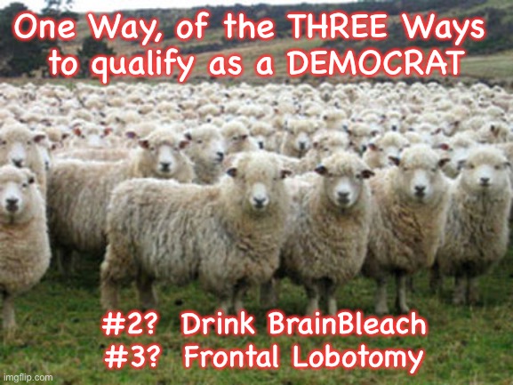 Democrats are Sheep | One Way, of the THREE Ways 
to qualify as a DEMOCRAT; #2?  Drink BrainBleach
  #3?  Frontal Lobotomy | image tagged in democrats are sheep | made w/ Imgflip meme maker