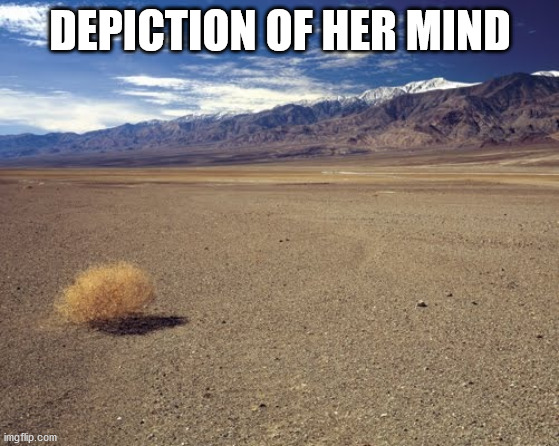 desert tumbleweed | DEPICTION OF HER MIND | image tagged in desert tumbleweed | made w/ Imgflip meme maker