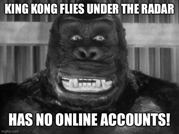 King kong | KING KONG FLIES UNDER THE RADAR HAS NO ONLINE ACCOUNTS! | image tagged in king kong | made w/ Imgflip meme maker