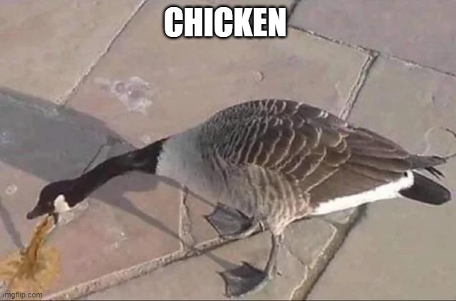 CHICKEN | image tagged in chicken,goose vomiting | made w/ Imgflip meme maker