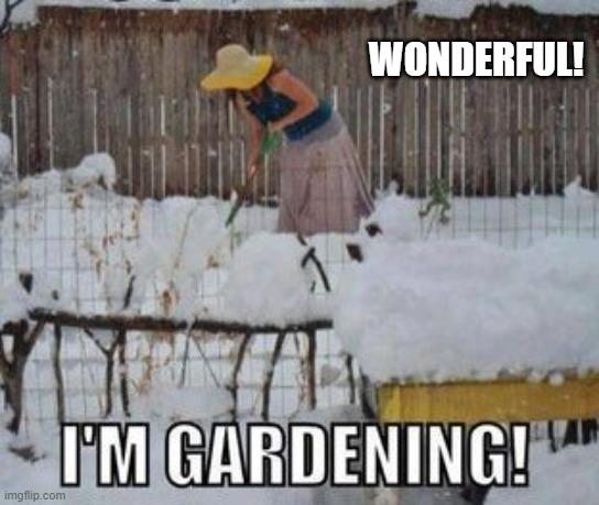 gardening | WONDERFUL! | image tagged in winter gardening | made w/ Imgflip meme maker