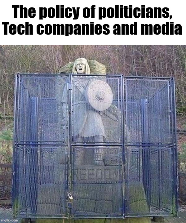 The policy of politicians, Tech companies and media | image tagged in political meme,freedom | made w/ Imgflip meme maker