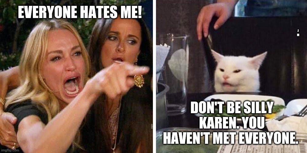Smudge the cat | EVERYONE HATES ME! J M; DON'T BE SILLY KAREN. YOU HAVEN'T MET EVERYONE. | image tagged in smudge the cat | made w/ Imgflip meme maker