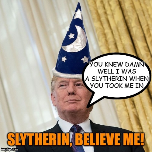 YOU KNEW DAMN WELL I WAS A SLYTHERIN WHEN YOU TOOK ME IN | made w/ Imgflip meme maker