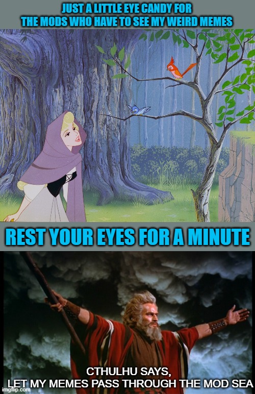 This is the way | JUST A LITTLE EYE CANDY FOR THE MODS WHO HAVE TO SEE MY WEIRD MEMES; REST YOUR EYES FOR A MINUTE; CTHULHU SAYS,
 LET MY MEMES PASS THROUGH THE MOD SEA | image tagged in calm before the storm | made w/ Imgflip meme maker