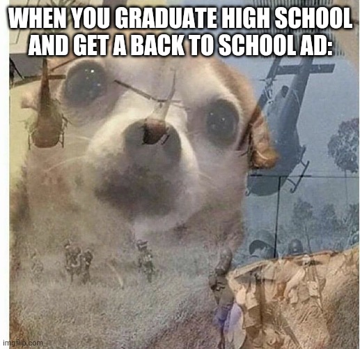 Oh no | WHEN YOU GRADUATE HIGH SCHOOL AND GET A BACK TO SCHOOL AD: | image tagged in ptsd chihuahua | made w/ Imgflip meme maker