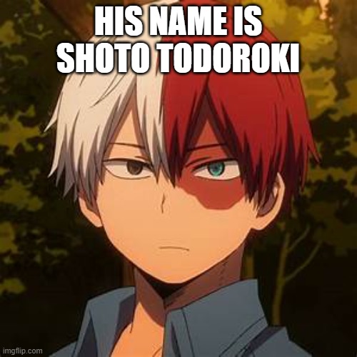 TODOROKI | HIS NAME IS SHOTO TODOROKI | image tagged in todoroki | made w/ Imgflip meme maker