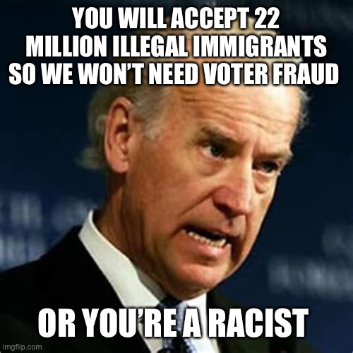 Amnesty, another great Democrat idea | YOU WILL ACCEPT 22 MILLION ILLEGAL IMMIGRANTS SO WE WON’T NEED VOTER FRAUD; OR YOU’RE A RACIST | image tagged in angry joe,illegal immigration,voter fraud | made w/ Imgflip meme maker