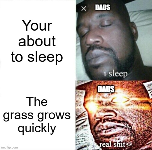 Sleeping Shaq | Your about to sleep; DADS; The grass grows quickly; DADS | image tagged in memes,sleeping shaq | made w/ Imgflip meme maker