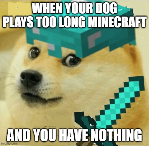 Minecraft Doge | WHEN YOUR DOG PLAYS TOO LONG MINECRAFT; AND YOU HAVE NOTHING | image tagged in minecraft doge | made w/ Imgflip meme maker