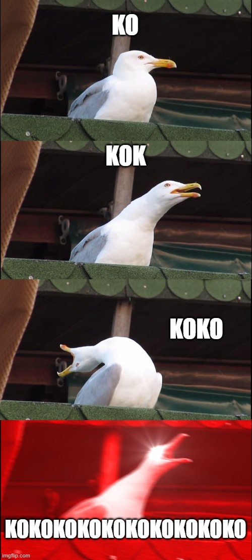 Inhaling Seagull Meme | KO; KOK; KOKO; KOKOKOKOKOKOKOKOKOKO | image tagged in memes,inhaling seagull | made w/ Imgflip meme maker