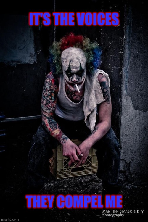 Koba the Clown | IT'S THE VOICES THEY COMPEL ME | image tagged in koba the clown | made w/ Imgflip meme maker