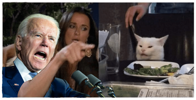 High Quality Biden Yelling at Cat Blank Meme Template