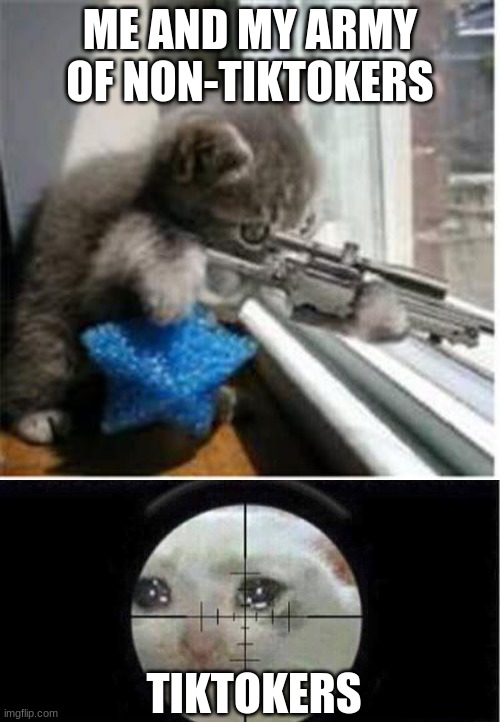 .;,;. | ME AND MY ARMY OF NON-TIKTOKERS; TIKTOKERS | image tagged in cats with guns,sniper cat | made w/ Imgflip meme maker