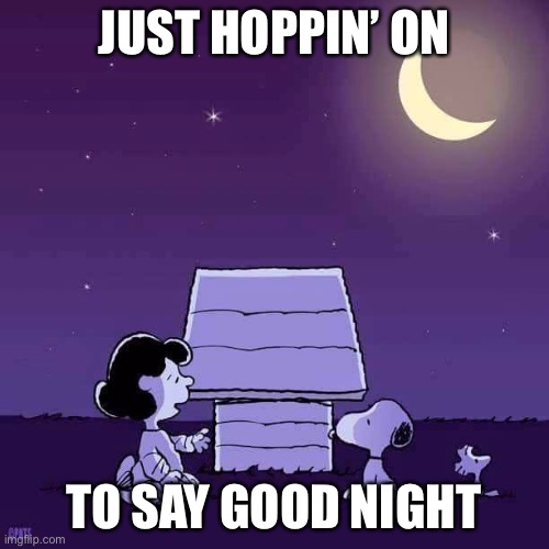 Anything else crazy happened? | JUST HOPPIN’ ON; TO SAY GOOD NIGHT | image tagged in good night | made w/ Imgflip meme maker