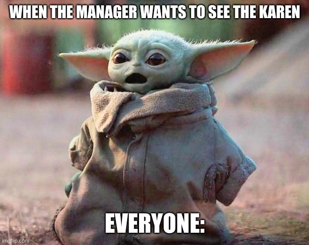 Surprised Baby Yoda | WHEN THE MANAGER WANTS TO SEE THE KAREN; EVERYONE: | image tagged in surprised baby yoda | made w/ Imgflip meme maker