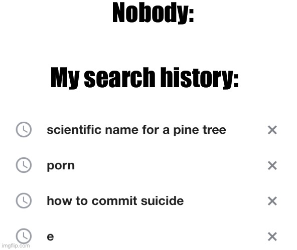 Scientific name for a pine tree is pinus btw | Nobody:; My search history: | image tagged in blank white template | made w/ Imgflip meme maker