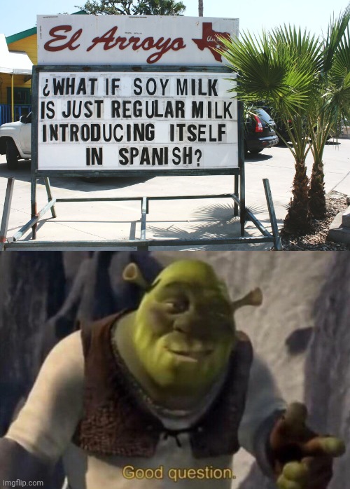 I Mean, It Should Make Perfect Sense | image tagged in shrek good question | made w/ Imgflip meme maker