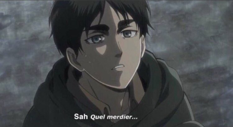 Sah quel  merdier Blank Meme Template