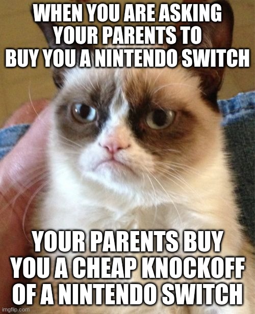 Grumpy Cat Meme | WHEN YOU ARE ASKING YOUR PARENTS TO BUY YOU A NINTENDO SWITCH; YOUR PARENTS BUY YOU A CHEAP KNOCKOFF OF A NINTENDO SWITCH | image tagged in memes,grumpy cat | made w/ Imgflip meme maker
