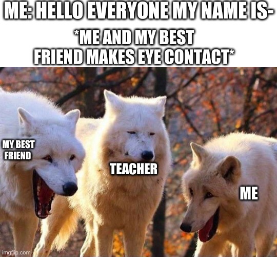 ThIS ONe Is fOR ThE rEAL ONE | ME: HELLO EVERYONE MY NAME IS-; *ME AND MY BEST FRIEND MAKES EYE CONTACT*; MY BEST FRIEND; TEACHER; ME | image tagged in laughing wolf | made w/ Imgflip meme maker