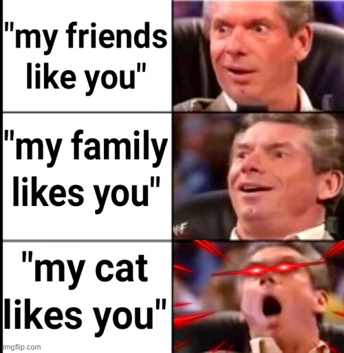 Aww cute | image tagged in cats,cute,family,true,this is fine | made w/ Imgflip meme maker