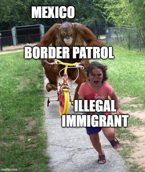 Orangutan chasing girl on a tricycle | MEXICO; BORDER PATROL; ILLEGAL IMMIGRANT | image tagged in orangutan chasing girl on a tricycle | made w/ Imgflip meme maker