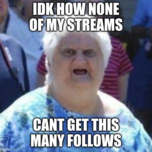 How? | IDK HOW NONE OF MY STREAMS; CANT GET THIS MANY FOLLOWS | image tagged in wat lady | made w/ Imgflip meme maker