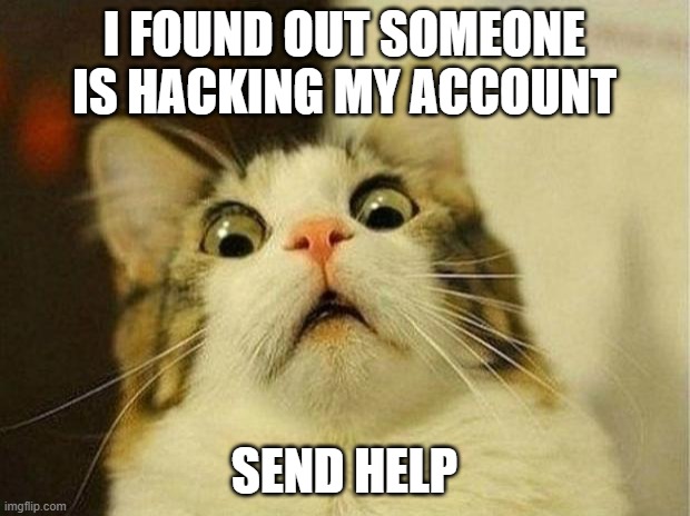 What do I do. I'm scared | I FOUND OUT SOMEONE IS HACKING MY ACCOUNT; SEND HELP | image tagged in memes,scared cat,hackers,help me,mom pick me up i'm scared | made w/ Imgflip meme maker