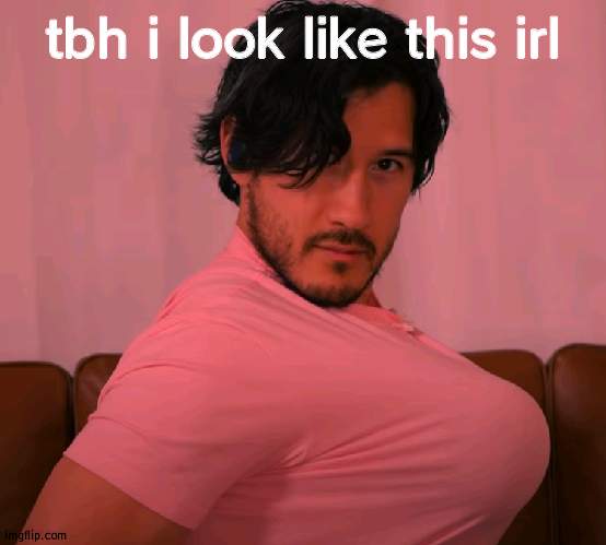 Markiplier with boobs | tbh i look like this irl | image tagged in markiplier with boobs | made w/ Imgflip meme maker