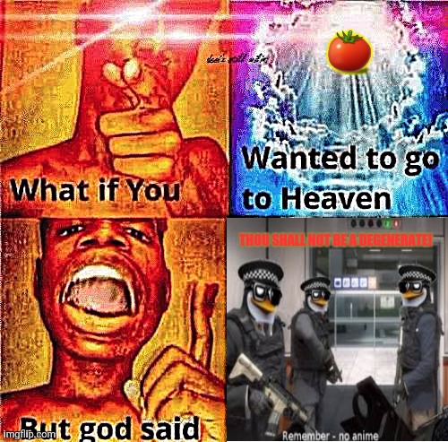 What if you wanted to go to heaven? | 🍅; THOU SHALL NOT BE A DEGENERATE! | image tagged in memes,weird anime hentai furry,lols | made w/ Imgflip meme maker