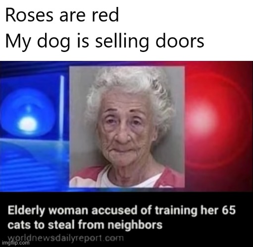Thats my grandma | image tagged in memes,news,funny memes,roses are red violets are are blue,oh wow are you actually reading these tags | made w/ Imgflip meme maker