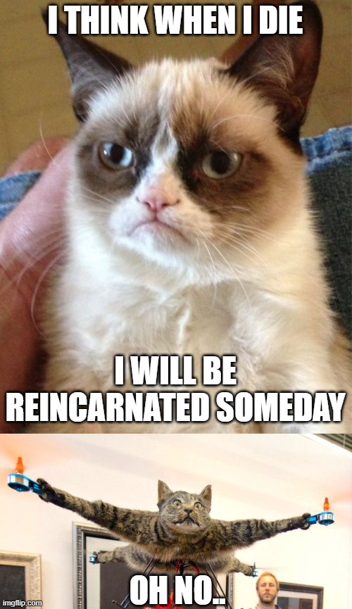 A helicopter cat! | I THINK WHEN I DIE; I WILL BE REINCARNATED SOMEDAY; OH NO.. | image tagged in memes,grumpy cat,drone,dead cat | made w/ Imgflip meme maker