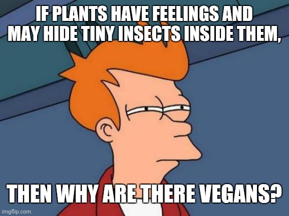 Futurama Fry | IF PLANTS HAVE FEELINGS AND MAY HIDE TINY INSECTS INSIDE THEM, THEN WHY ARE THERE VEGANS? | image tagged in memes,futurama fry,trollbait | made w/ Imgflip meme maker