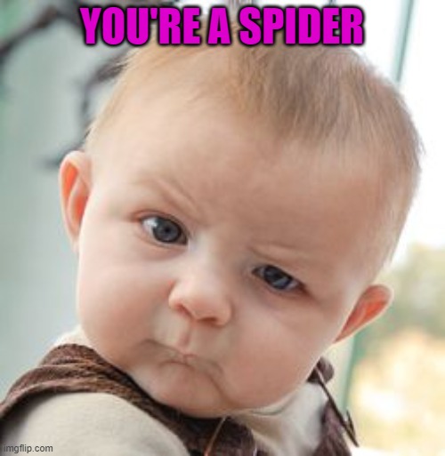 Skeptical Baby Meme | YOU'RE A SPIDER | image tagged in memes,skeptical baby | made w/ Imgflip meme maker