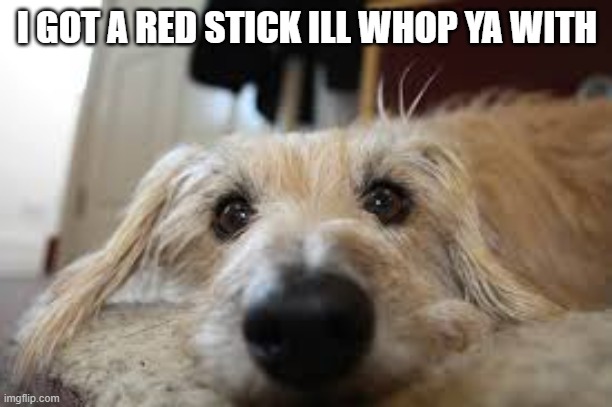 I GOT A RED STICK ILL WHOP YA WITH | made w/ Imgflip meme maker